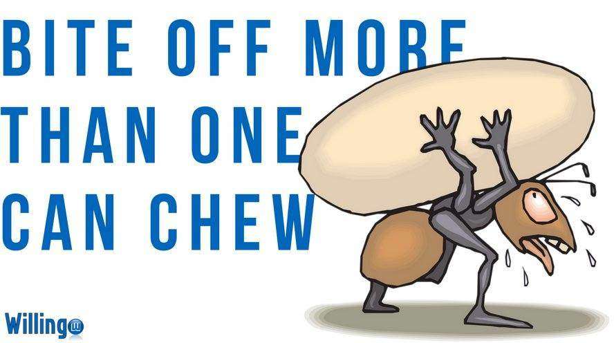 BITE OFF MORE THAN ONE CAN CHEW