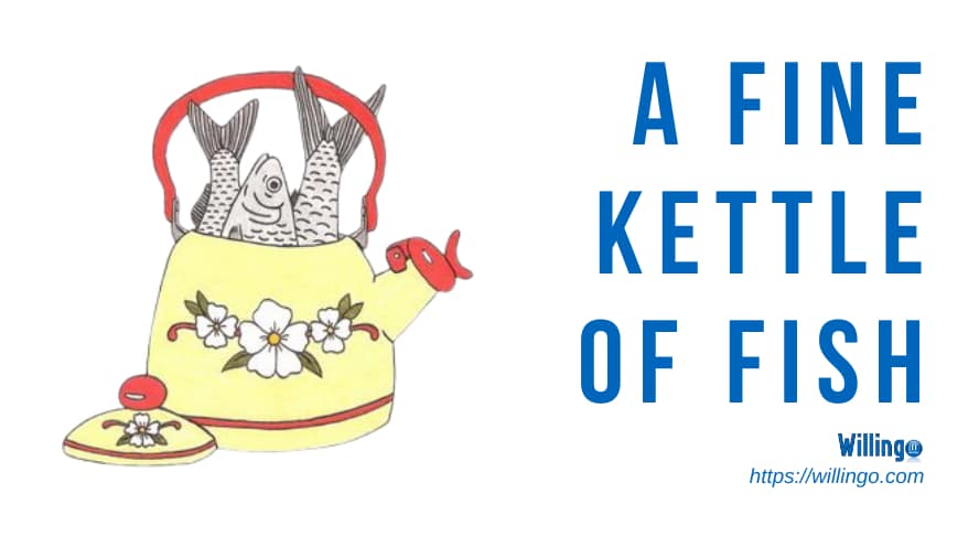 a fine kettle of fish nghĩa là gì