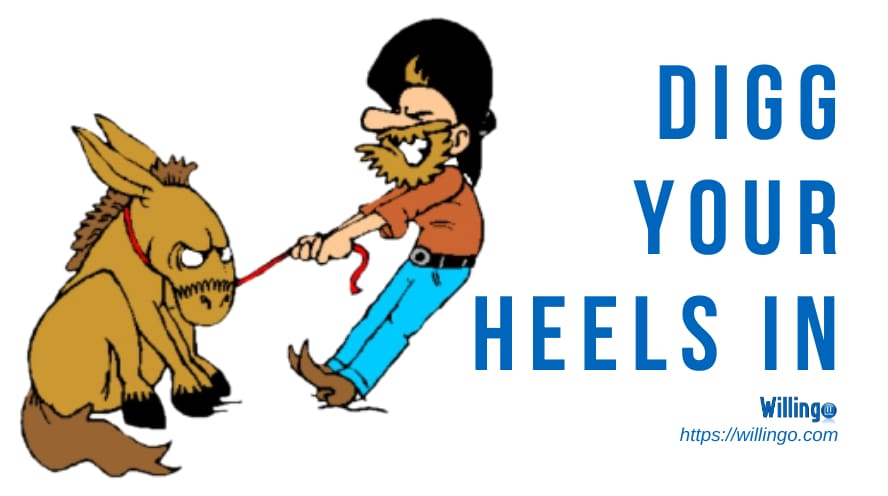 dig your heels in nghĩa là gì