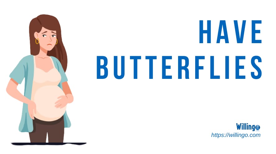 have butterflies in stomach nghĩa là gì