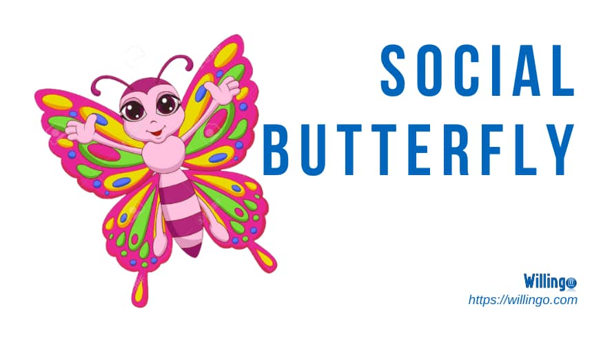 social butterfly nghĩa là gì