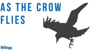 AS THE CROW FLIES