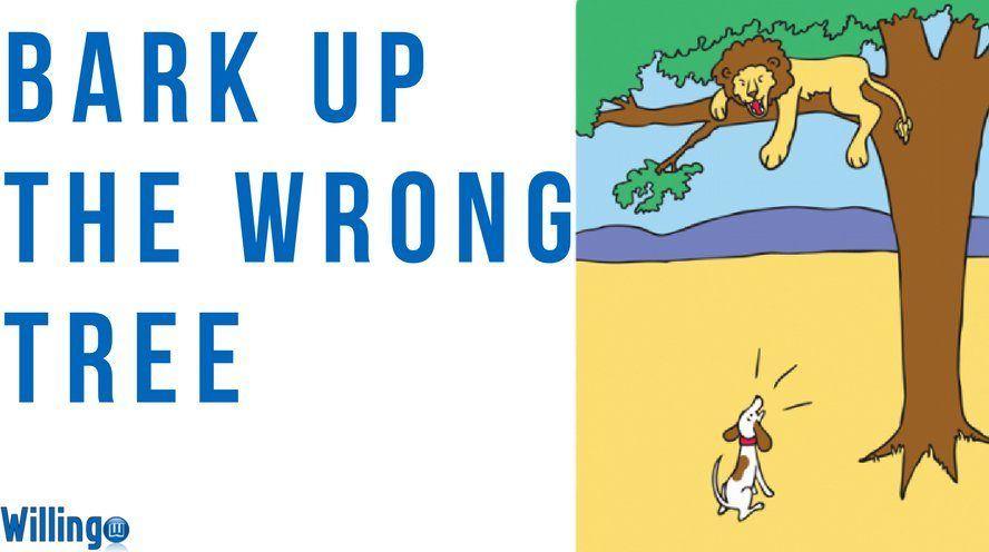 bark_up_the_wrong_tree