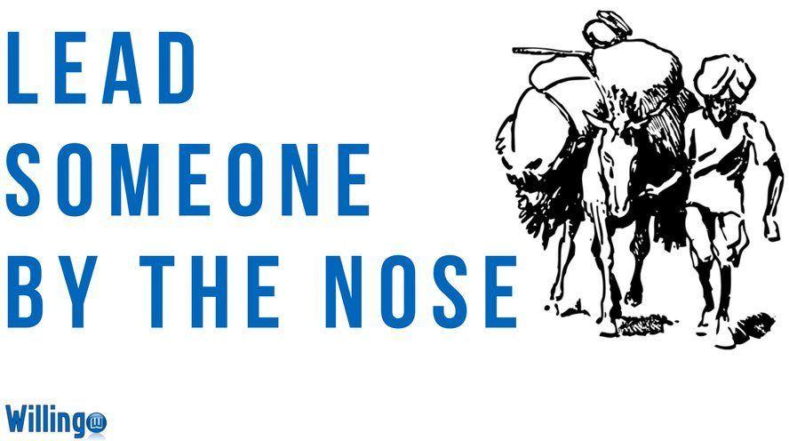 LEAD SOMEONE BY THE NOSE