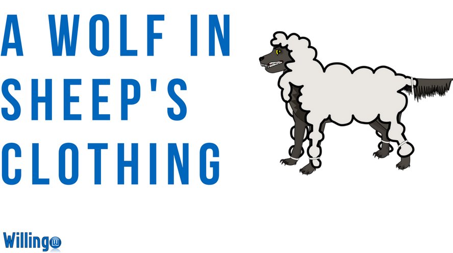 A WOLF IN SHEEP’S CLOTHING