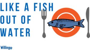 LIKE A FISH OUT OF WATER