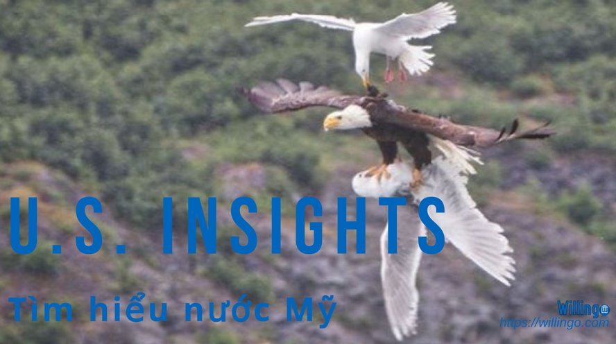 Ai là Tổng tư lệnh Quân đội Hoa Kỳ?