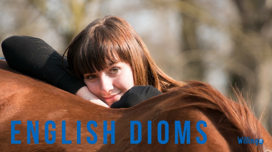 thành ngữ tiếng anh thông dụng - English idioms - 40 header