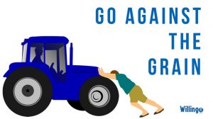 go against the grain trong tiếng Anh nghĩa là gì