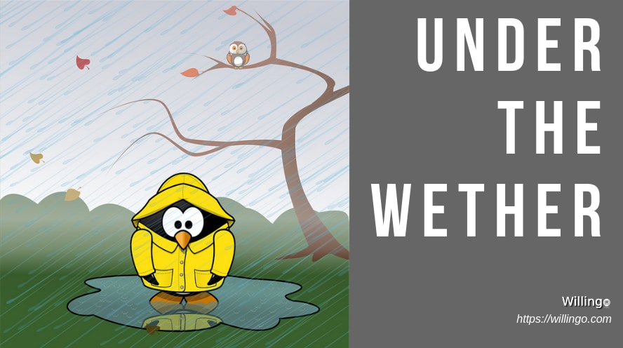 UNDER THE WETHER nghĩa là gì