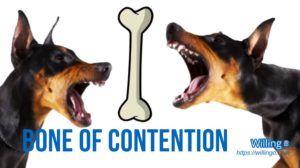 BONE OF CONTENTION nghĩa là gì