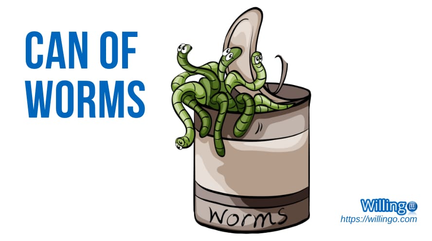 CAN OF WORMS nghĩa là gì