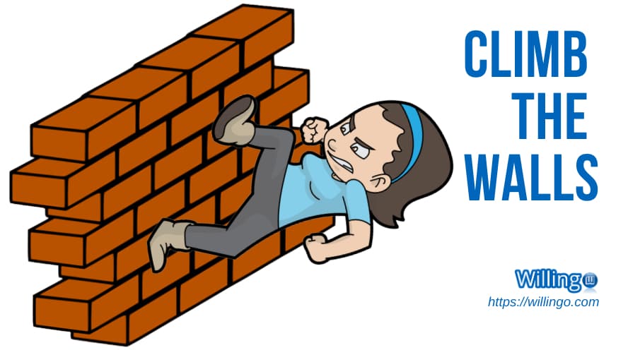 Climb the walls