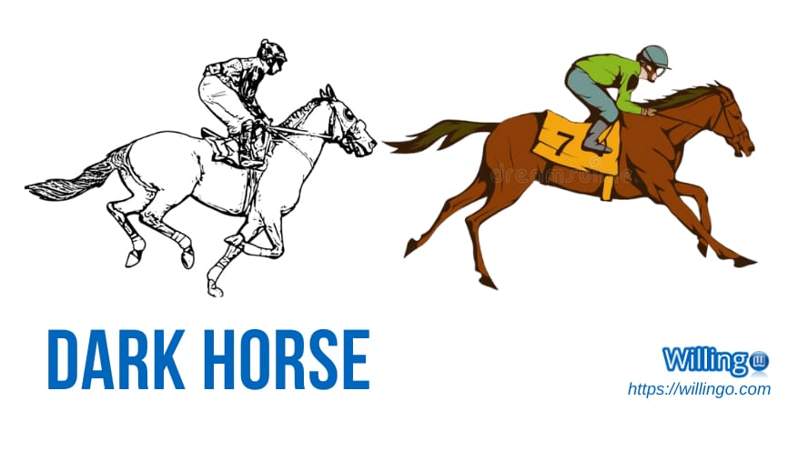 DARK HORSE nghĩa là gì