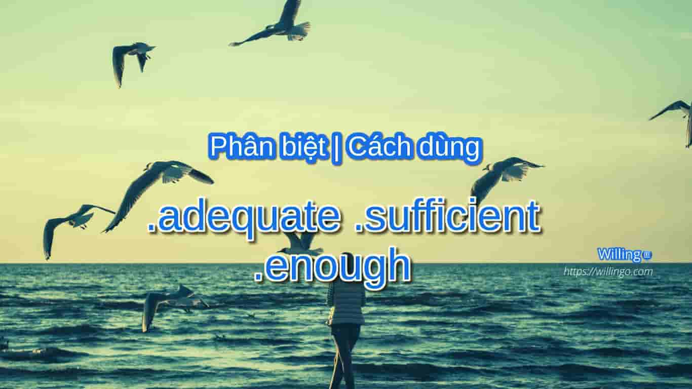 adequate | sufficient | enough 2