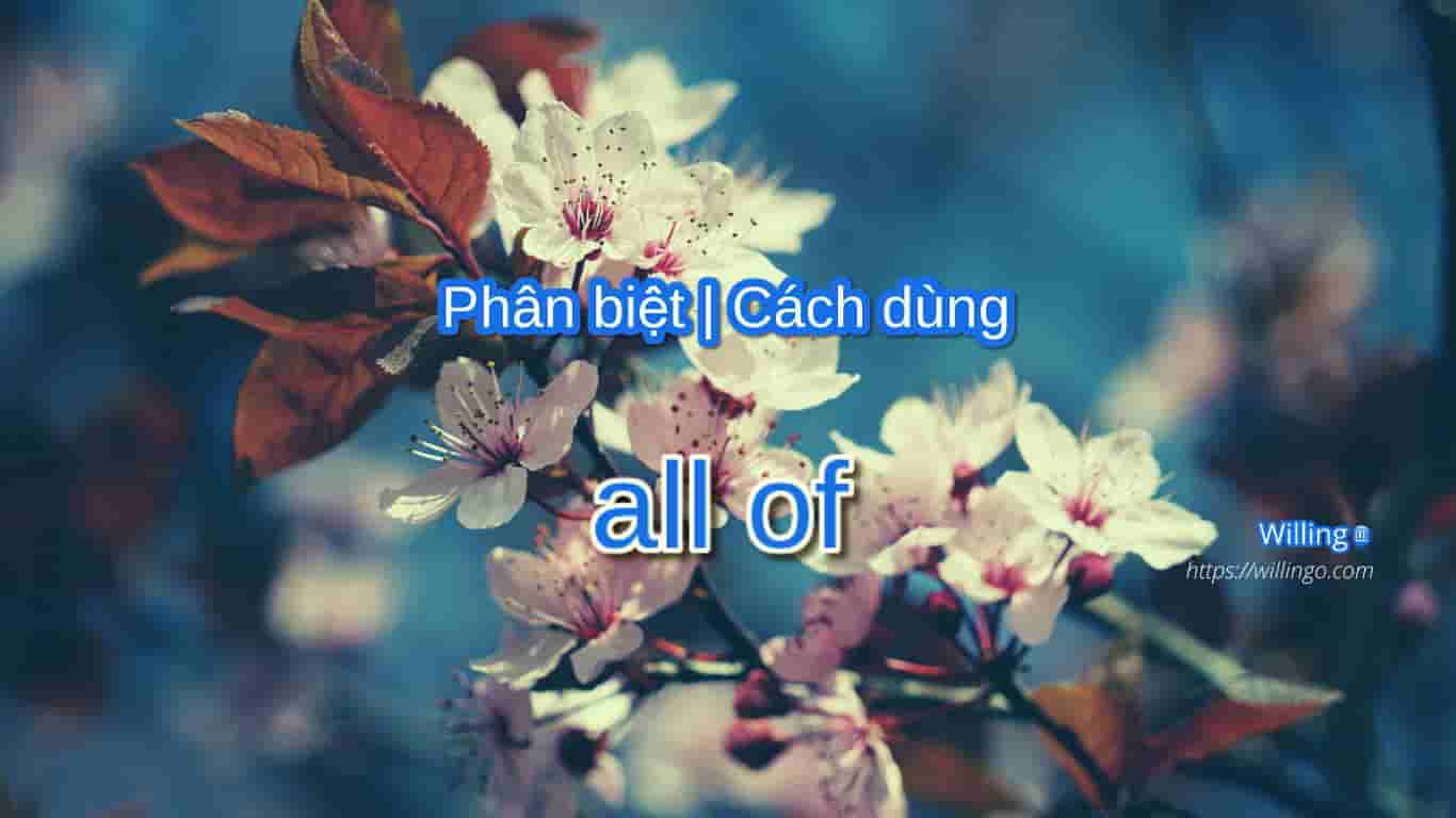 cách dùng all of