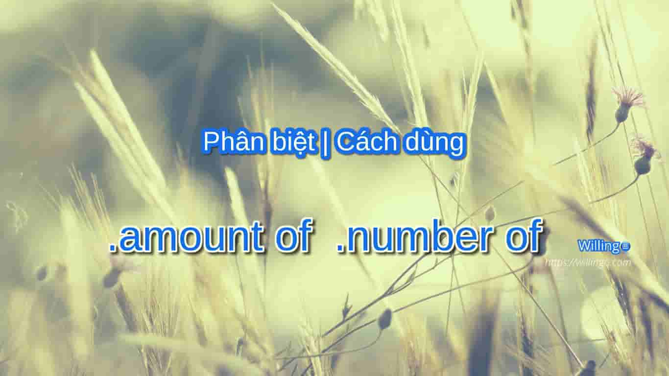 amount of number of