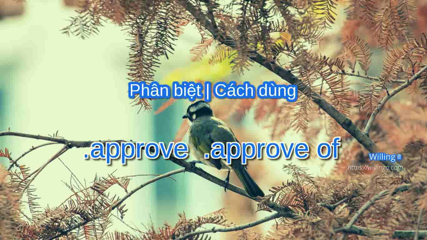 approve | approve of