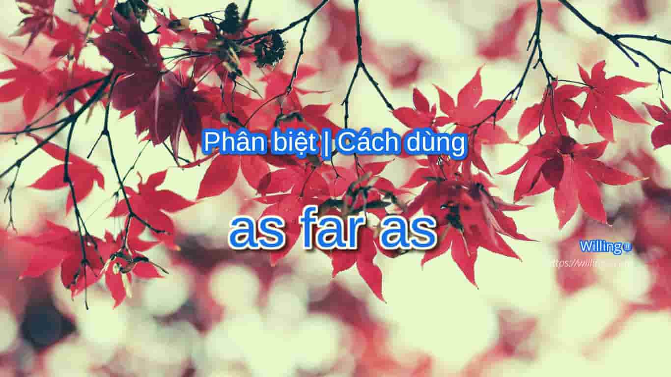 cách dùng as far as