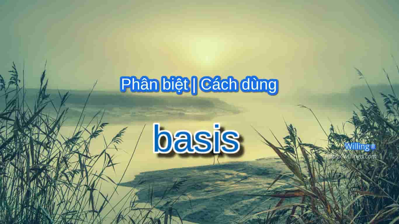 basis