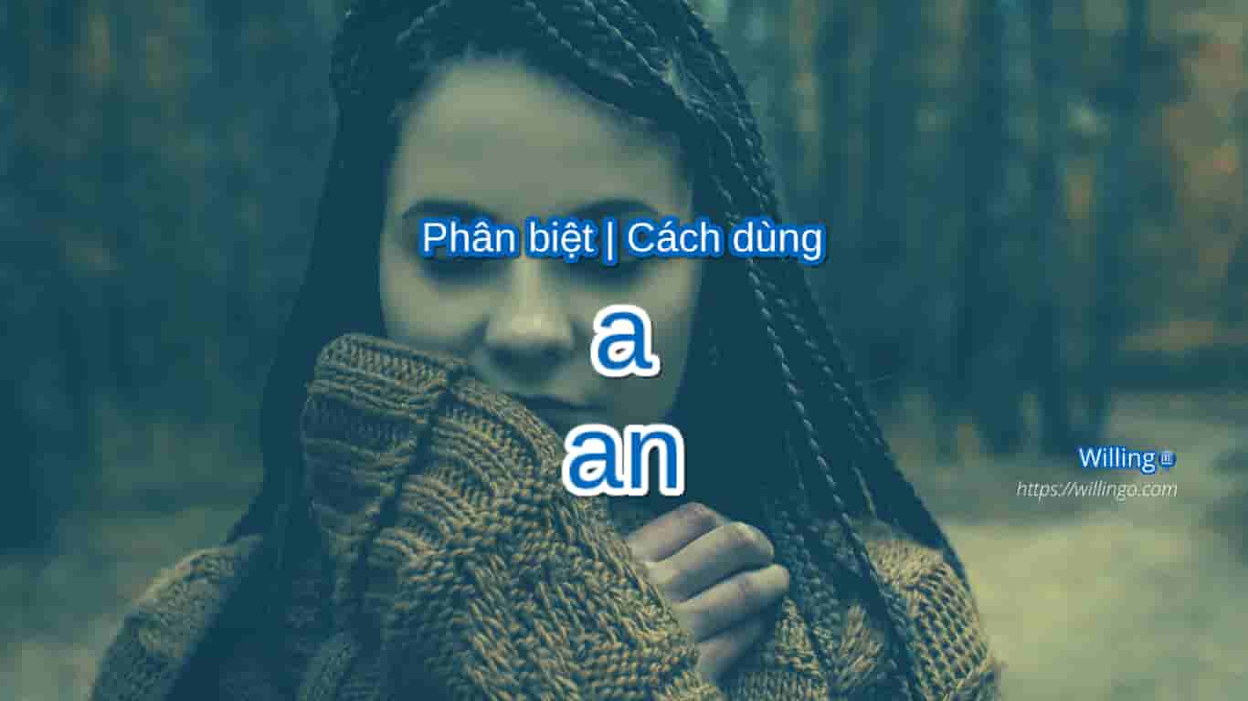 cách dùng a | an 4