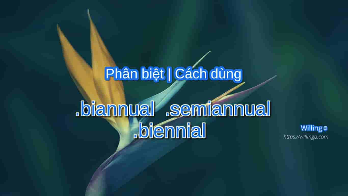 biannual | semiannual | biennial