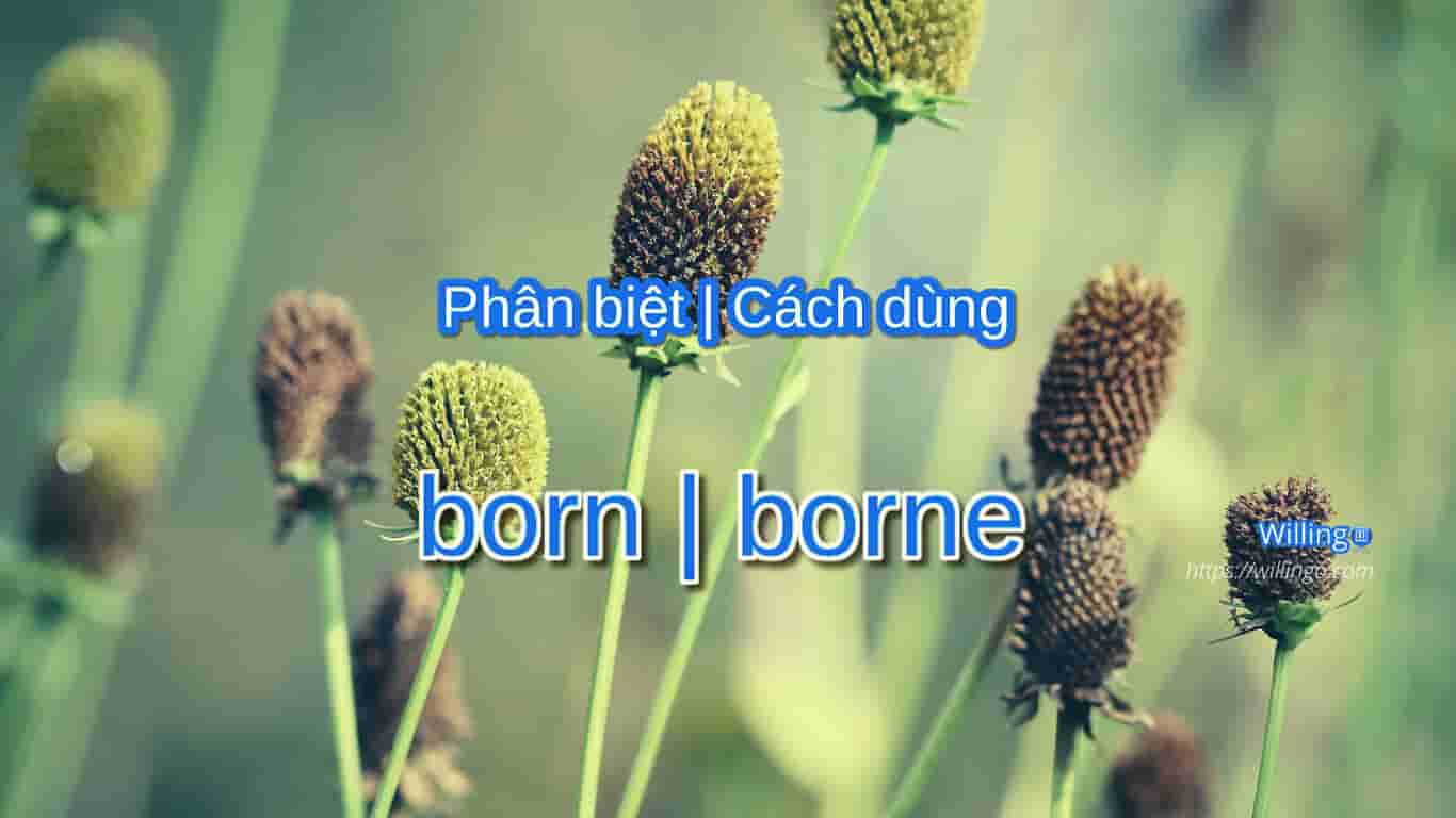born | borne