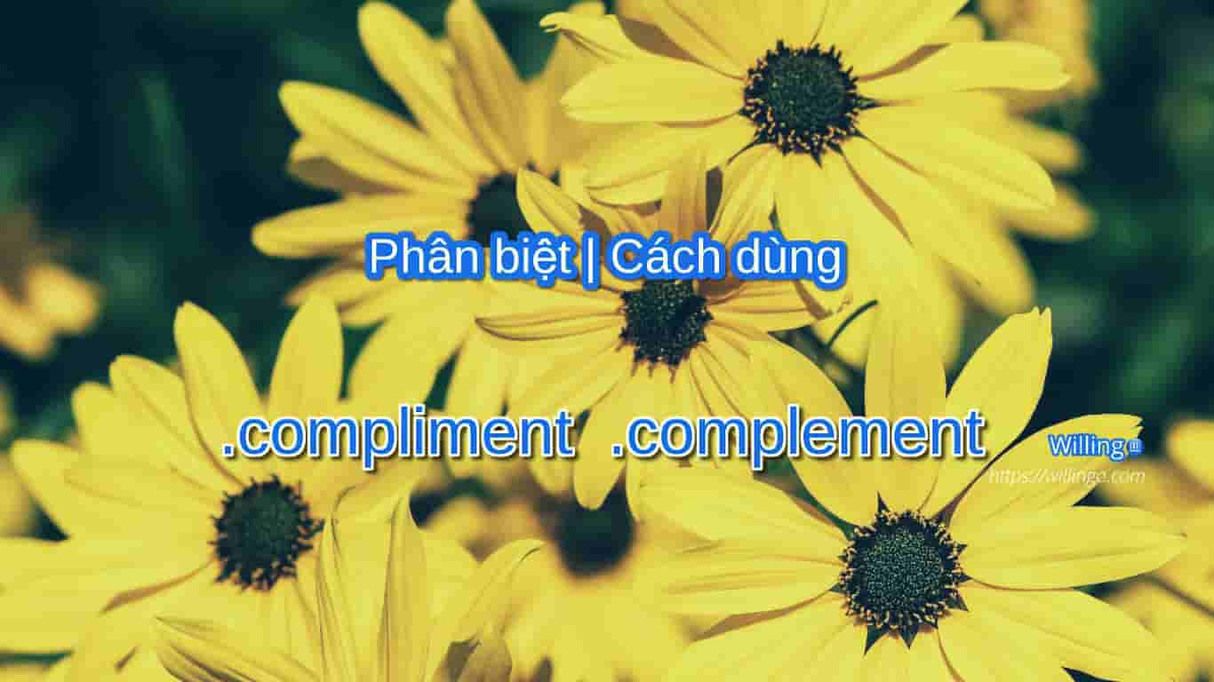 compliment complement