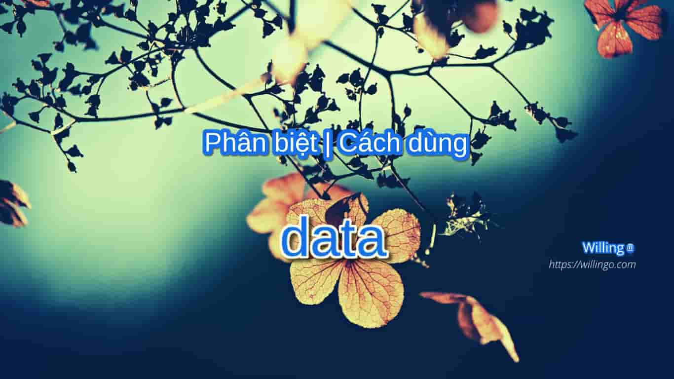data