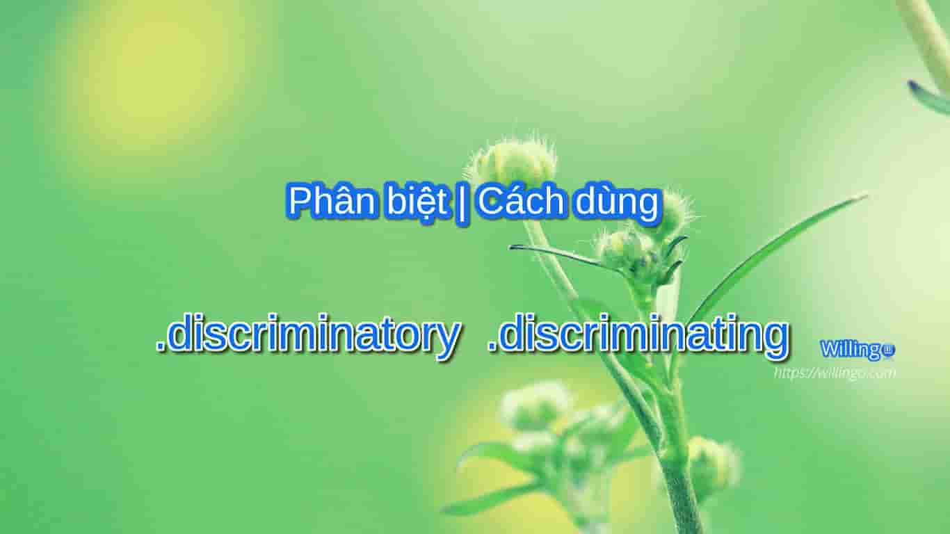 discriminatory discriminating
