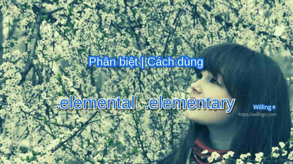 elemental elementary