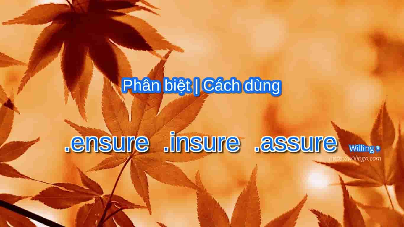 ensure insure assure