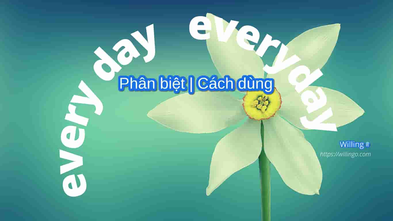 every day everyday phân biệt cách dùng