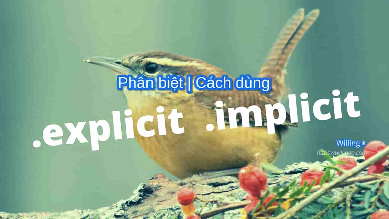 explicit implicit