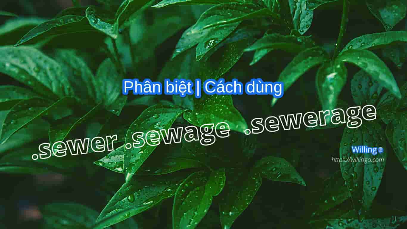 sewer sewage sewerage