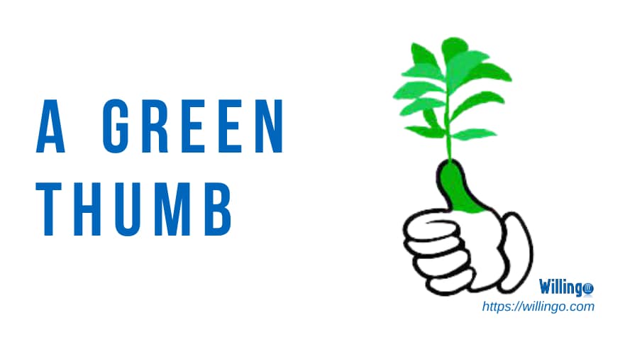 a green thumb nghĩa là gì