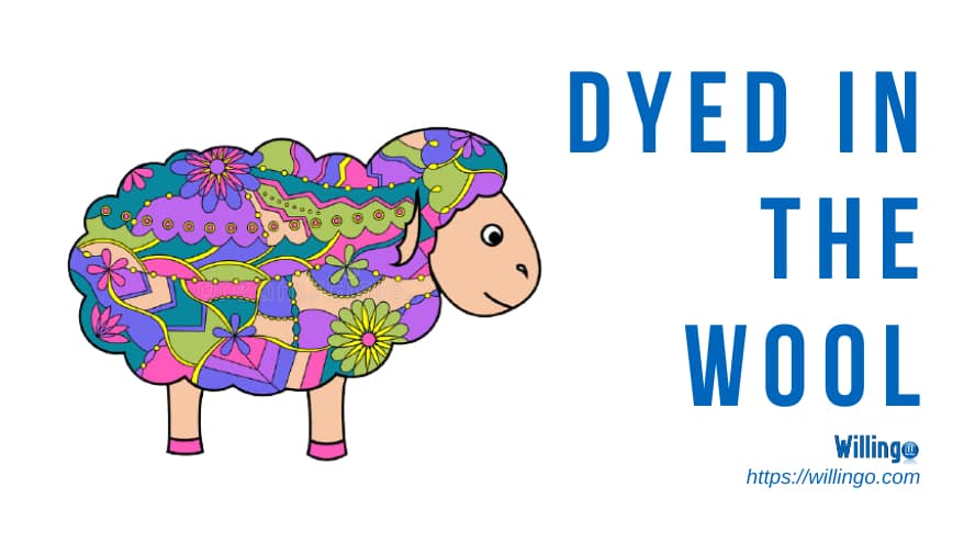 dyed-in-the-wool nghĩa là gì