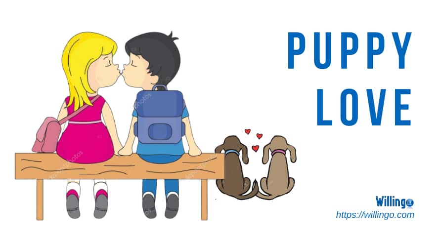 puppy love nghĩa là gì