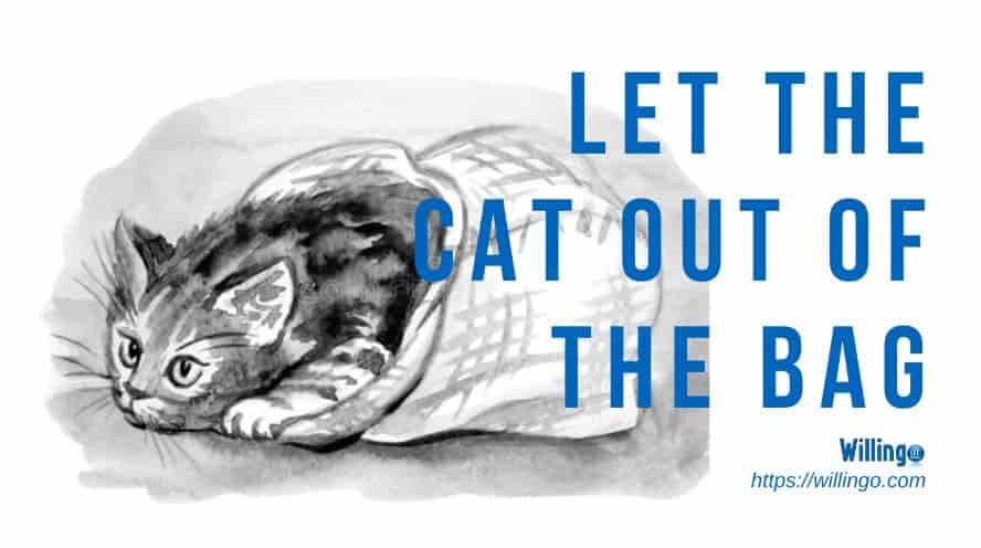 LET THE CAT OUT OF THE BAG là gì
