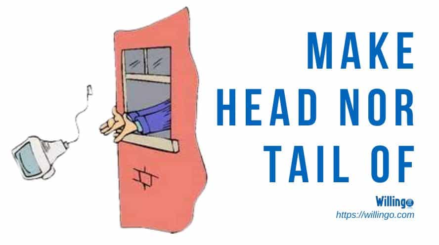 MAKE HEAD OR TAIL OF SOMETHING là gì