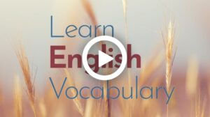 Learn English Vocabulary