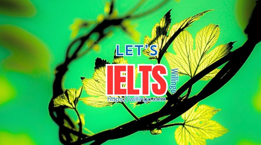 Cấu trúc IELTS reading