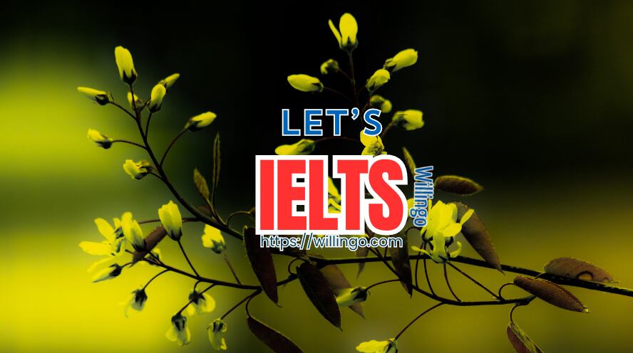Lịch thi IELTS