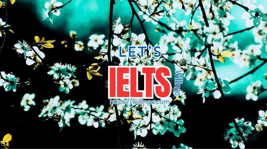 cấu trúc IELTS Listening