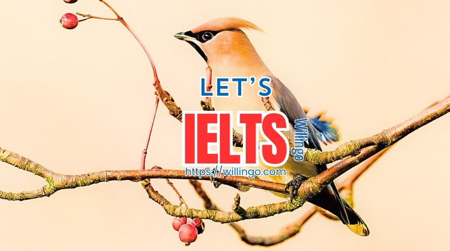 cấu trúc IELTS speaking