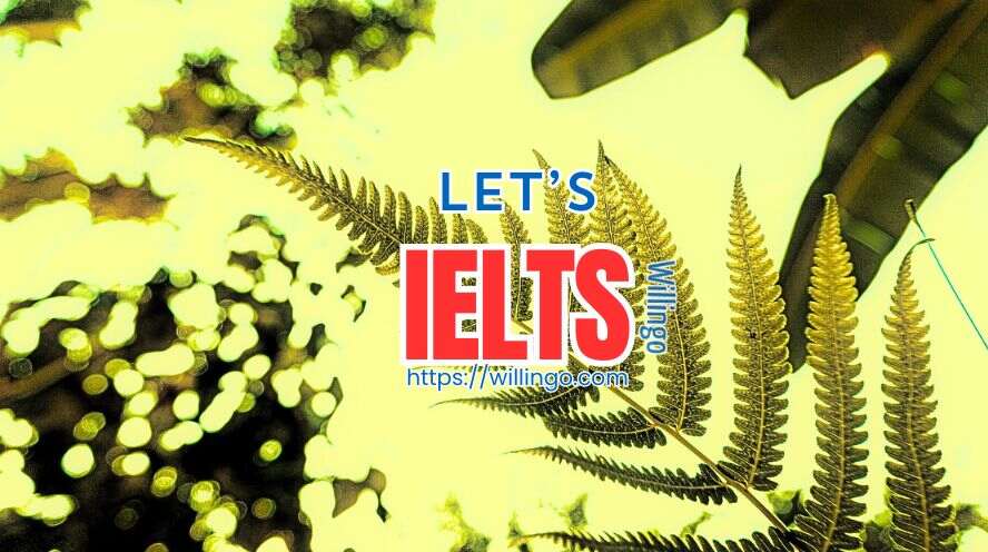 cấu trúc IELTS writing
